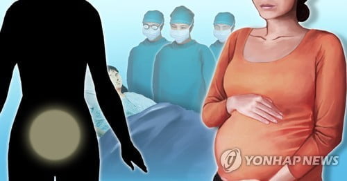 "산부인과서 임신부 방치 태아 숨져" 주장…경찰 수사