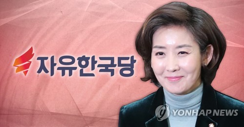 나경원 "연동형 비례대표제, 의원수 확대 없인 어려워…부정적"