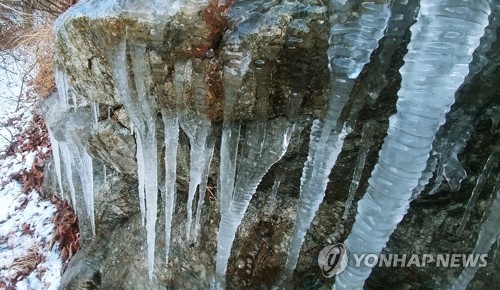 체감온도 '영하 24.3도'…대관령 올겨울 최강 한파에 '꽁꽁'