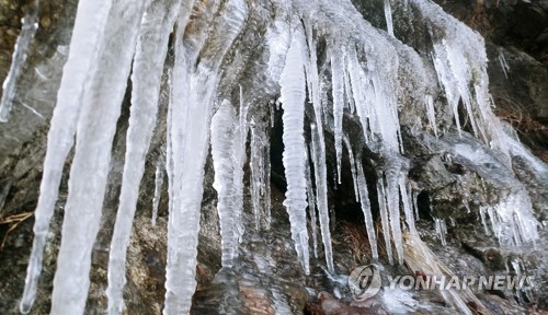 대설에 최강한파 전국 '꽁꽁'…고드름 주렁주렁 대관령은 한겨울