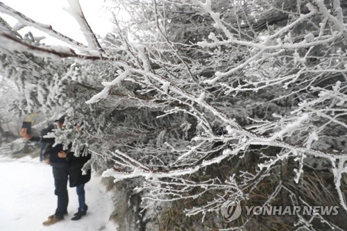 제주 올겨울 들어 가장 추워…산지엔 대설특보