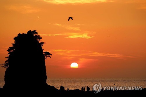 2019년 첫 해돋이 '독도 오전 7시 26분'