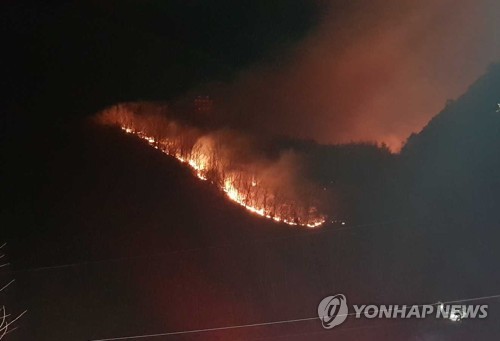 삼척 미로면 산불 13시간만에 진화…산림 10㏊·주택 1채 불타