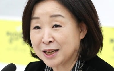 심상정 "이달 내 선거제 개혁안 마련…5당 지도부와 협상 병행하겠다"