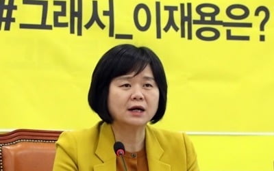 이정미 "제주 영리병원, 의료체계 흔드는 시작점 될까 우려"