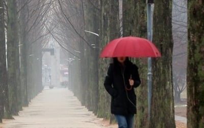 [날씨] 내일 전국에 비…미세먼지 씻기고 포근