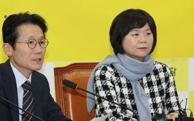 윤소하 "선거제 개혁 위해 예산 볼모로 잡겠다는 것 아냐"