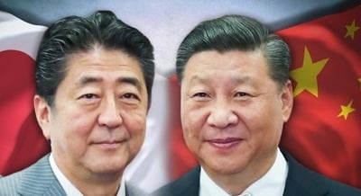 "아베, 시진핑에 '트럼프와 직접 대화' 조언해"
