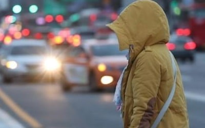 대관령 영하 10도 찬바람 '쌩쌩'…강원도 전역 한파