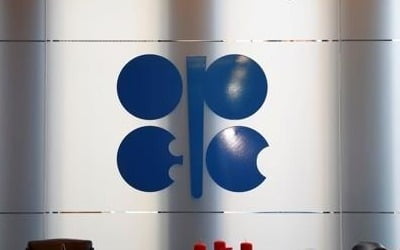 이란, OPEC+ 감산 예외인정 결정에 '만족'