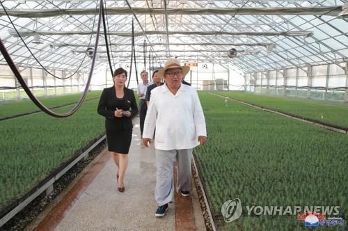 산림복구 총력 北, 연말 결산하며 '성과 미달' 또 질타