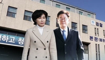 이재명 부부 기소여부 오늘 결론…이지사는 기소에 '무게'