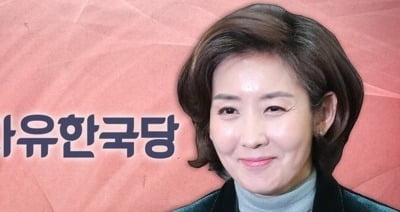 나경원 "연동형 비례대표제, 의원수 확대 없인 어려워…부정적"