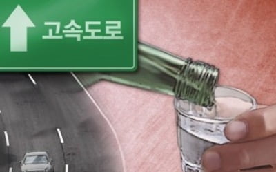 '고속도로가 음주도로?' 경찰, 비틀비틀 차량 5㎞ 추격 검거