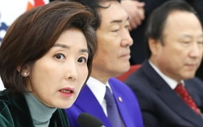 나경원 "선거제 개편·원포인트 개헌 같이해야"