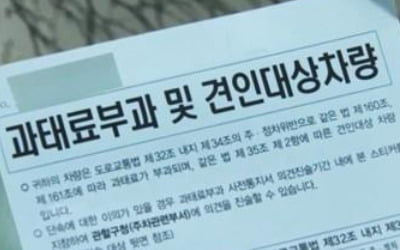 '간 큰 사회복무요원'…불법 주정차 기록 삭제·단속정보 유출