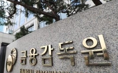 전체 보험사 지급여력비율 상승…DB생명·흥국화재 등 '주의'