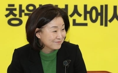 심상정 "12월내 선거제 개혁안 마련…5당 지도부와 협상 병행"