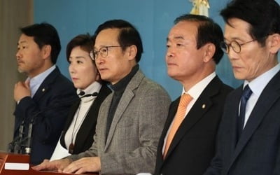 여야 선거제 개혁 합의했지만…각론 놓고 동상이몽