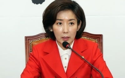 나경원 "연동형 비례대표제 도입 기정사실화는 사실 호도"