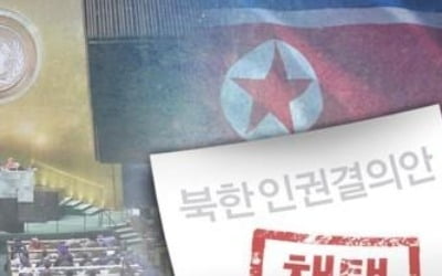 외교부, 유엔 北인권결의 채택에 "국제사회와 함께 노력"