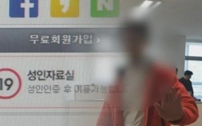 음란물 '웹하드 카르텔'에 관계기관 공동대응…실무TF 구성