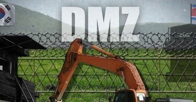 DMZ 생태계 보전 방안 마련…내년 상반기 종합대책 수립