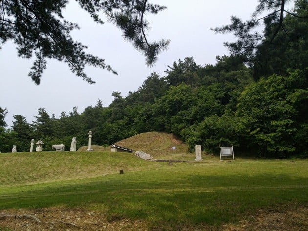 경기도는 흥선대원군의 후손인 이청씨로부터 남양주 창현리에 있는 대원군 묘역과 주변 토지 12만9천935㎡를 기증받았다고 4일 밝혔다. [경기도 제공]