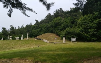 흥선대원군 후손, 경기도에 축구장 10배 토지 기증…공시지가 50억대