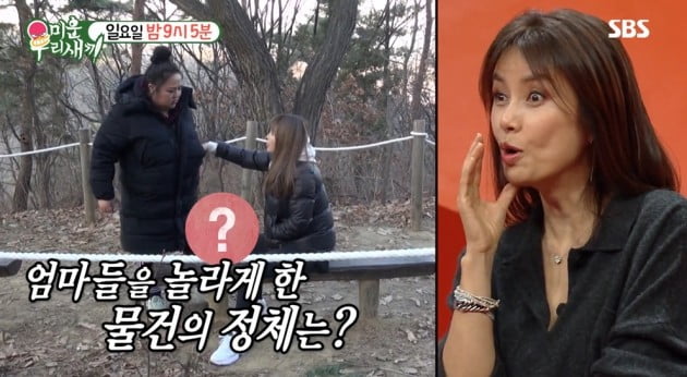 홍자매 빠진 '미운 우리 새끼', 신애라 출연에도 불구 시청률 하락