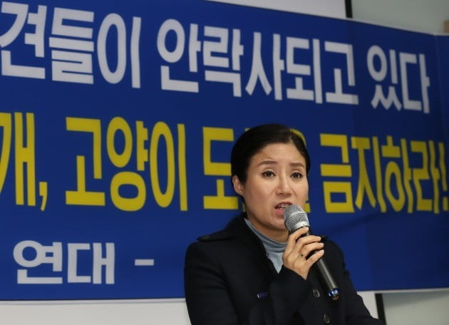 구조동물 안락사 논란을 빚은 동물권단체 '케어' 박소연 대표가 19일 오전 서울 서초구의 한 건물에서 열린 기자회견에서 의혹에 대해 해명하고 있다. [사진=연합뉴스]