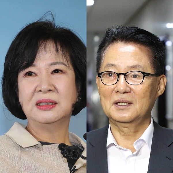 박지원, 손혜원/사진=연합뉴스