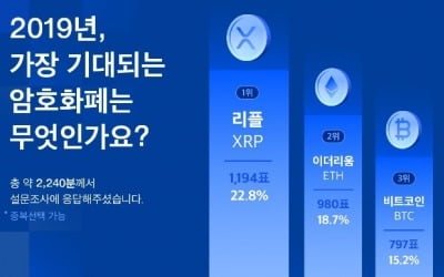 "투자자가 가장 기대하는 가상화폐는 '리플(XRP)'"