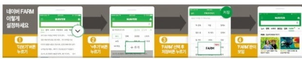 [이번주 뜨거웠던 FARM] 겨울철 키우기 좋은 식물 추천합니다 등