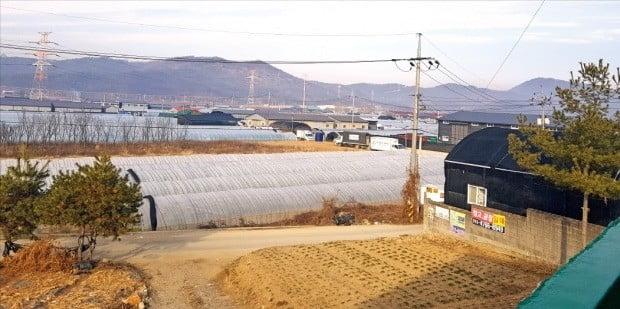 3기 신도시 조성에 나선 정부가 막대한 현금 보상금이 풀리는 것을 막기 위해 현금 대신 땅으로 보상하는 방안을 활성화하기로 했다. 6만6000가구 규모의 신도시가 조성될 예정인 경기 남양주 왕숙지구.  /한경DB 