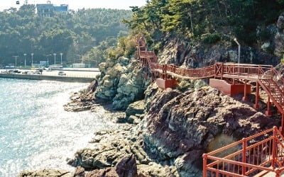 남도 바닷길 따라 한발 한발…기해년 희망 설계, 마음도 힐링하세요