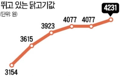 '치킨집용' 닭고기 값 급등