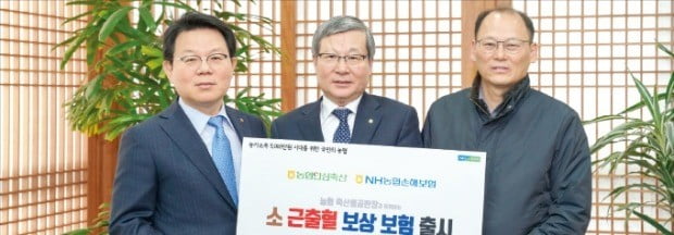 농협금융, 축산농가 위한 보상보험 출시