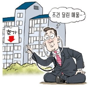 집값 급락에 新유행어…"증여일 것" "조건 달린 매물"