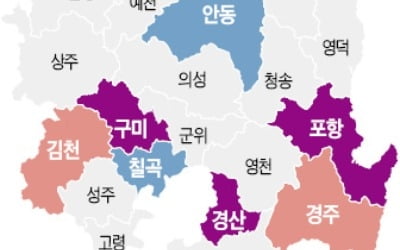 경북도, 거점육성형 지역개발 나섰다