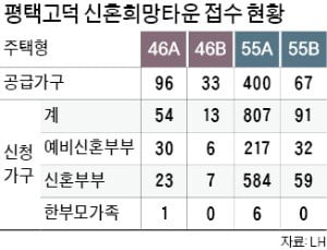 첫 신혼타운 청약…위례 '쏠림' vs 평택 '한산'