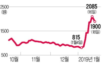 '상어가족 테마株' 토박스코리아, CB·BW 주식 전환에 상승 '찬물'