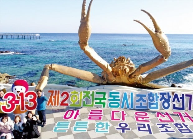 농·축협 조합장선거 D-50