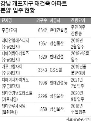 뉴 개포시대…주공 재건축 입주 본격화 "미니신도시급 新부촌 형성"