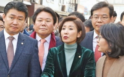 목포 간 나경원 "노른자위 땅 5분의1 손혜원 일가 것"