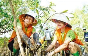 SK이노베이션 임직원들이 베트남에서 맹그로브숲 복원 봉사활동을 하고 있다.  /SK이노베이션  제공 