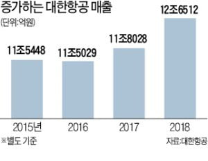 대한항공, 창사 이후 최대 매출…잠정 실적 이례적 발표