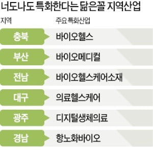 대구는 의료헬스, 충북은 바이오헬스?…지역별로 이름만 바꾼 '닮은꼴' 수두룩