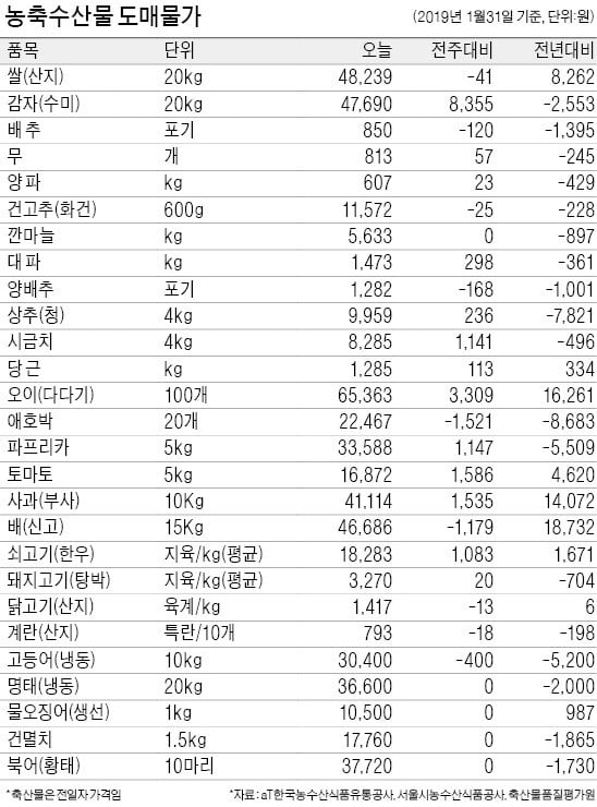 설 다가오자 과일 가격 올라…1년새 사과 52%, 배 67% ↑