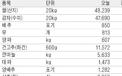 설 다가오자 과일 가격 올라…1년새 사과 52%, 배 67% ↑